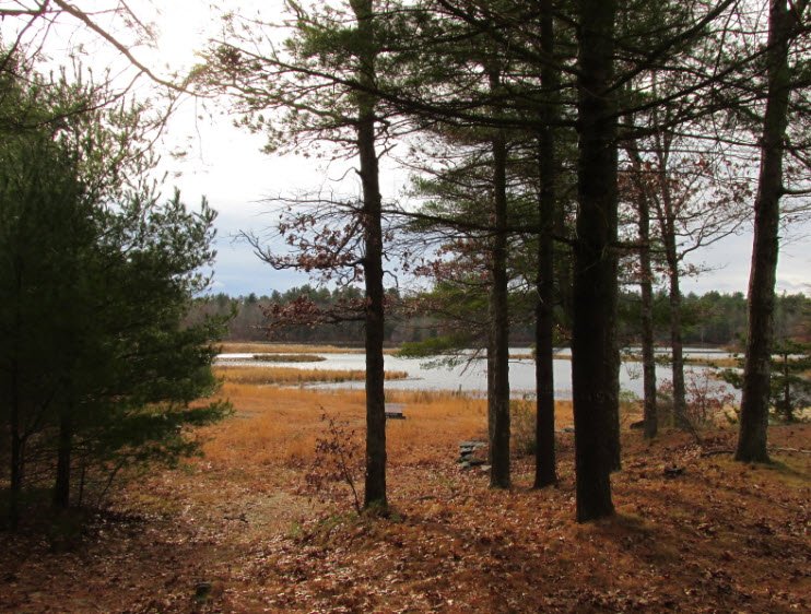Massasoit State Park, Massachusetts, USA